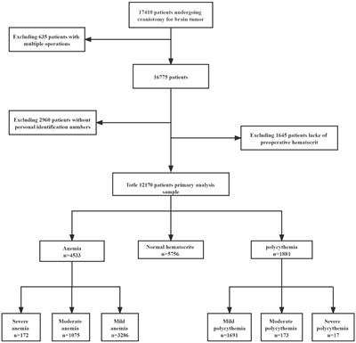 Preoperative hematocrit levels and postoperative mortality in patients undergoing craniotomy for brain tumors